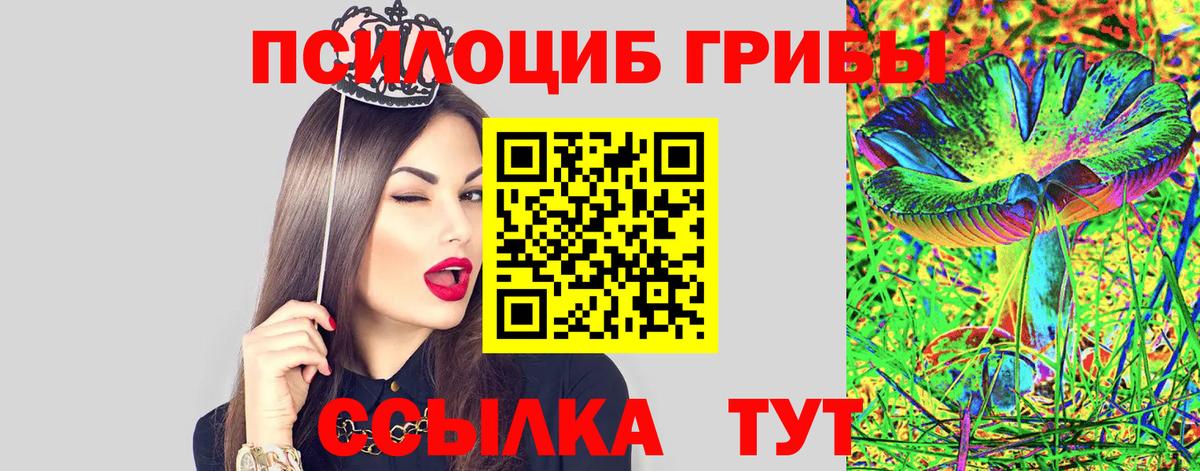Тихорецк  наркота  Вход с VPN  Галлюциногенные грибы мицелий 