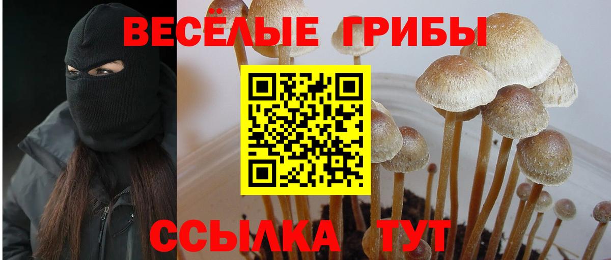 Псилоцибиновые грибы Magic Shrooms Тихорецк