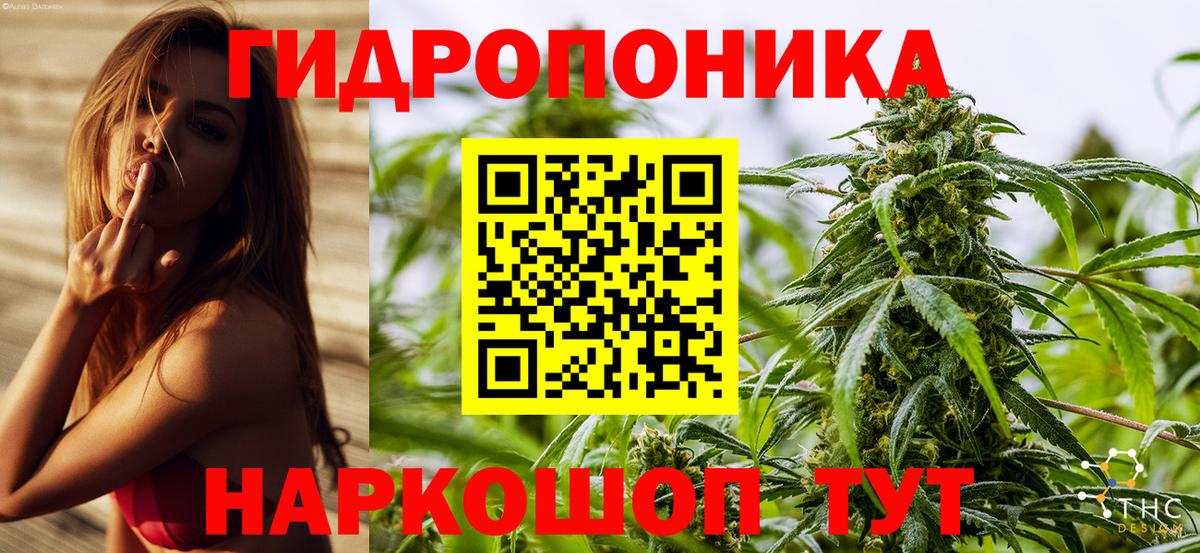 Марихуана OG Kush Тихорецк